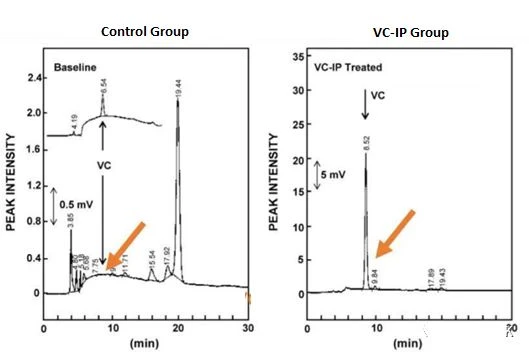 VC & VC-IP